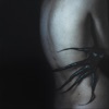 Sexores - Volantia
