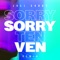 Sorry (Ten Ven Remix) artwork