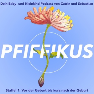 Pfiffikus Podcast Finanzielle Vorsorge und Absicherung