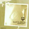 Beautiful Re-Searching album lyrics, reviews, download