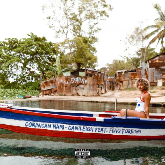 Cover artwork for Dominican Mami (feat. Fivio Foreign)