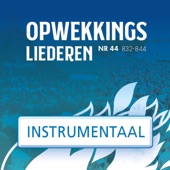 Opwekkingsliederen 44 (Instrumentaal) artwork