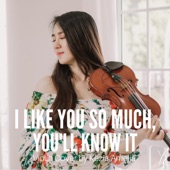 I Like You So Much & You'll Know It artwork