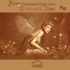 Fairies from the Magic Forest (Etasonic Remix) Song Lyrics