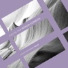 Sensual Elements - Single