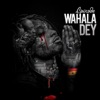 Wahala Dey - Single, 2019