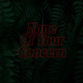 None of Your Concern (Instrumental) artwork