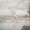 Heart of the Cloud - Dew Of Light lyrics