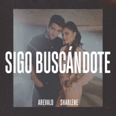 Sigo Buscándote artwork