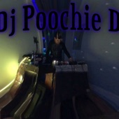 Dj Poochie D. - Funky and Hot