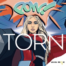 Torn (TRP Remix) artwork