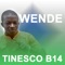 Wendé - TINESCO B14 lyrics