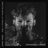 Paint It Black (Hoppenfield Remix) [feat. Julien Kelland] song lyrics