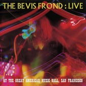 The Bevis Frond - Love Is - Live
