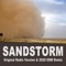 Sandstorm (2020 EDM Remix) artwork
