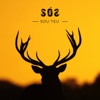 Sou Teu - Single