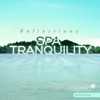 Spa Tranquility