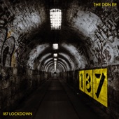 The Don (feat. MC Dego Dan) [Underground Solution Mix] artwork