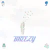 Breezy - Single album lyrics, reviews, download