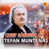 Stefan Muntenas - De-Ar Sti Omu Ce Ajunge