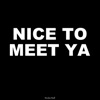 Nice to Meet Ya - Single