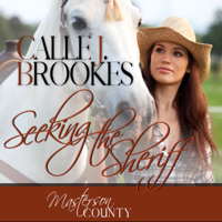 Calle J. Brookes - Seeking the Sheriff artwork