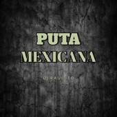 Puta Mexicana artwork
