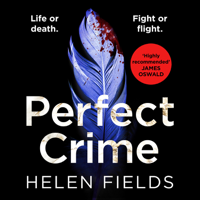Helen Fields - Perfect Crime artwork