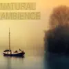 Natural Ambience - Single album lyrics, reviews, download