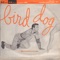 Bird Dog - Rick Corio & Joe Favale lyrics