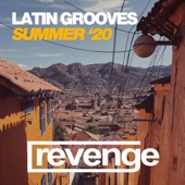 Latin Grooves (Dub Mix) artwork
