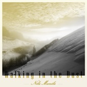 Walking in the Dust artwork