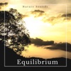 Equilibrium