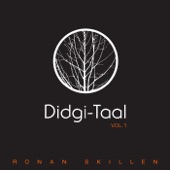 Didgi-Taal, Vol. 1 artwork