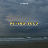 Flying Solo artwork