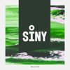 Siny - Analogue