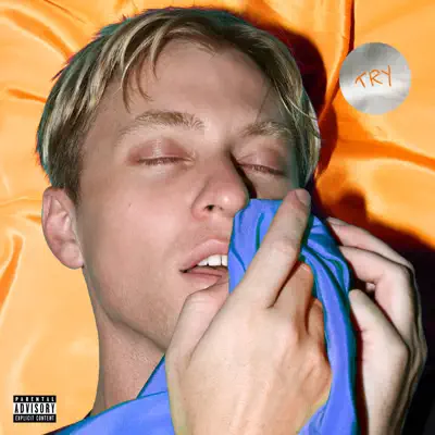 Try - Single - The Drums