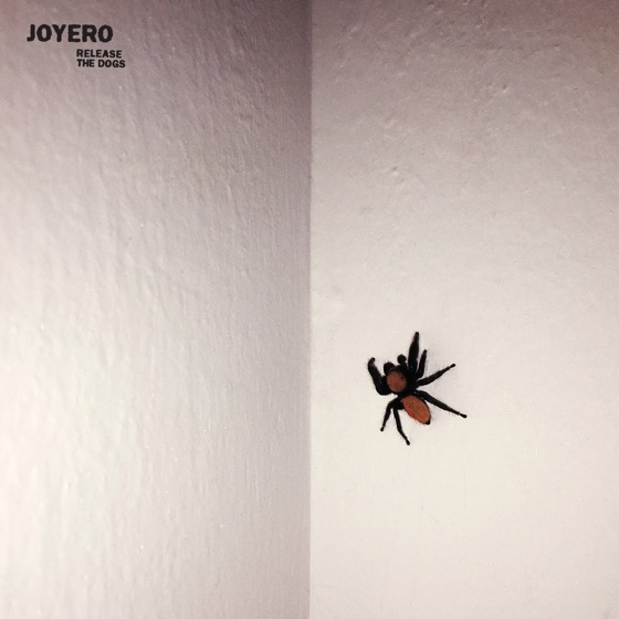 Cover artwork for Alight