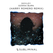 Gonna Burn (Harry Romero Remix) artwork