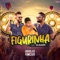 Figurinha (feat. MC Bruninho) [Ao Vivo] - Douglas & Vinicius lyrics