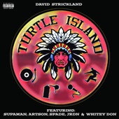 Turtle Island (feat. Supaman, Artson, Spade, JRDN & Whitey Don) artwork