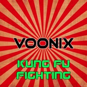 Kung Fu Fighting (Dance Radio Mix) artwork