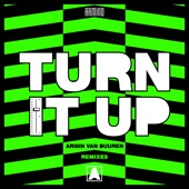Turn It Up (Remixes) artwork