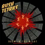 Bush Tetras - Stand Up and Fight