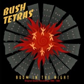 Bush Tetras - Cowboys in Africa