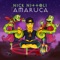 Hook - Nick Nittoli lyrics