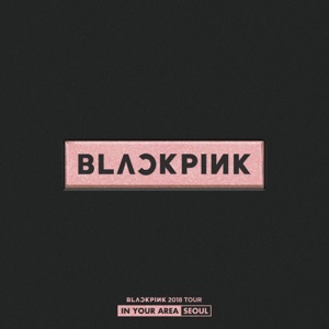 BLACKPINK DDU-DU DDU-DU