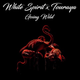 Going Wild (Radio Edit)