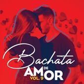 Bachata De Amor, Vol. 9 artwork