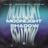 Moonlight Shadow - Single, 2023